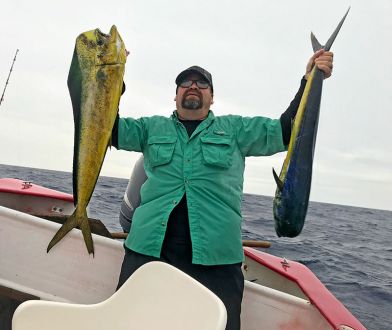 January 2018 two El Dorados in San Jose Del Cabos BJ Mexico.