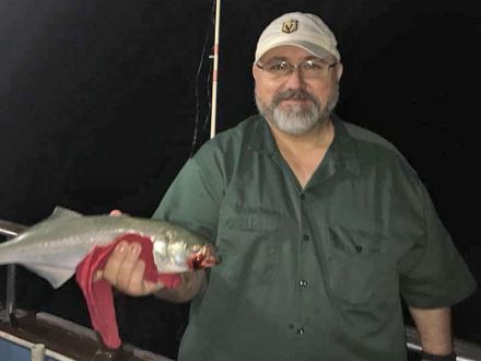 Ft Lauderdale Bluefish caught by Darren Enns, 03-11-2019